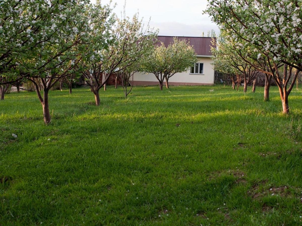 Barskoon Guest House Εξωτερικό φωτογραφία