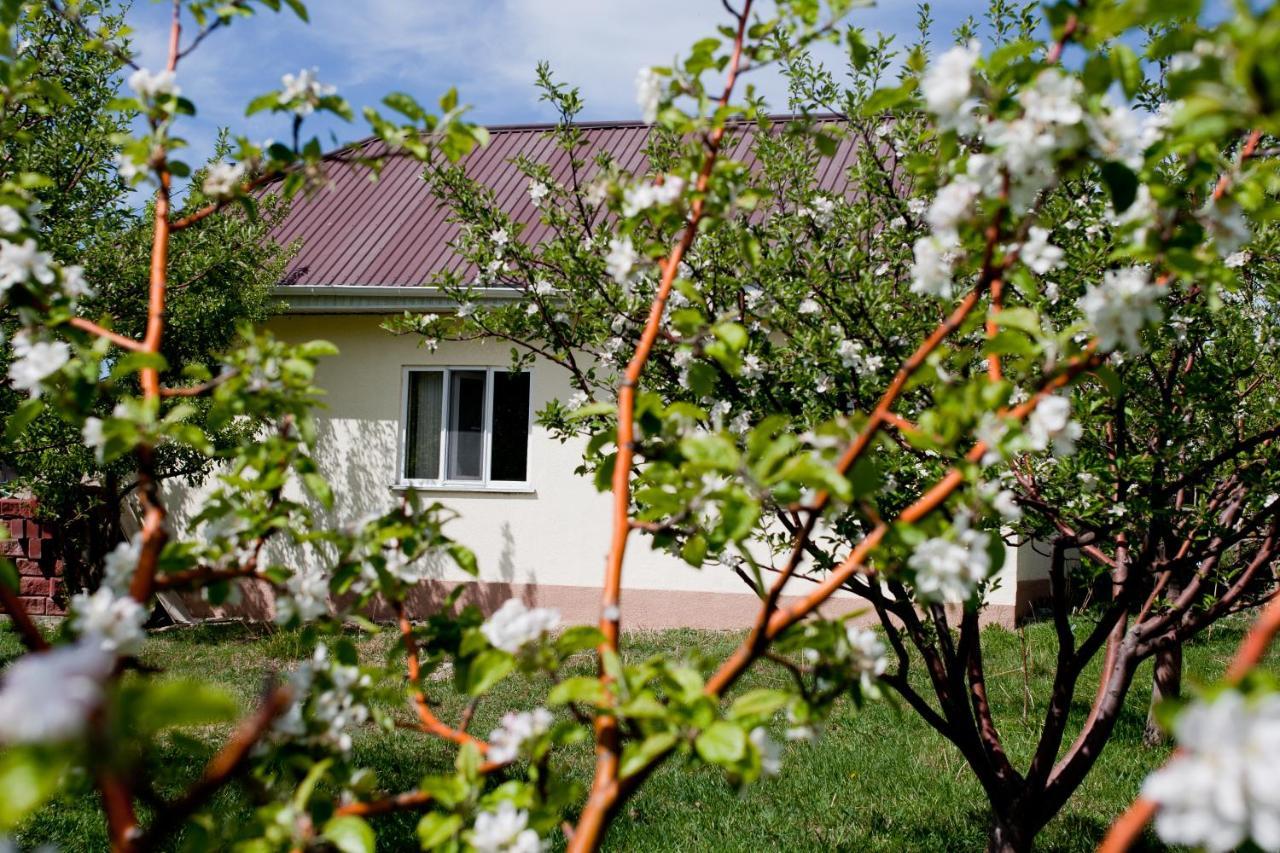Barskoon Guest House Εξωτερικό φωτογραφία
